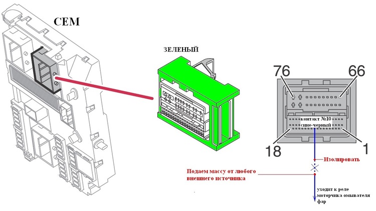 СЕМ.jpg