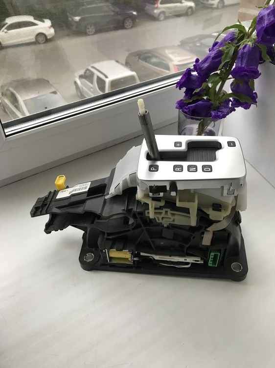 BFA3ED2E-0129-4E34-82DA-44123FF414C8.jpeg